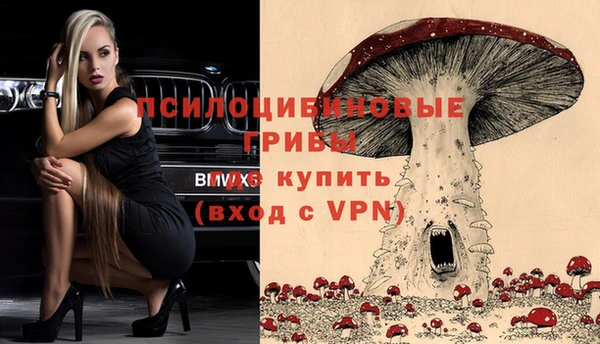 ГАЛЛЮЦИНОГЕННЫЕ ГРИБЫ Лиски