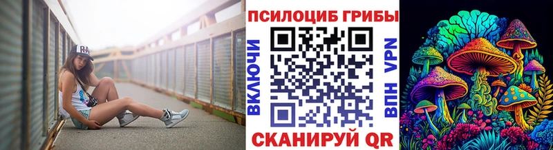 Купить закладки  Бавлы  Псилоцибиновые грибы Cubensis 